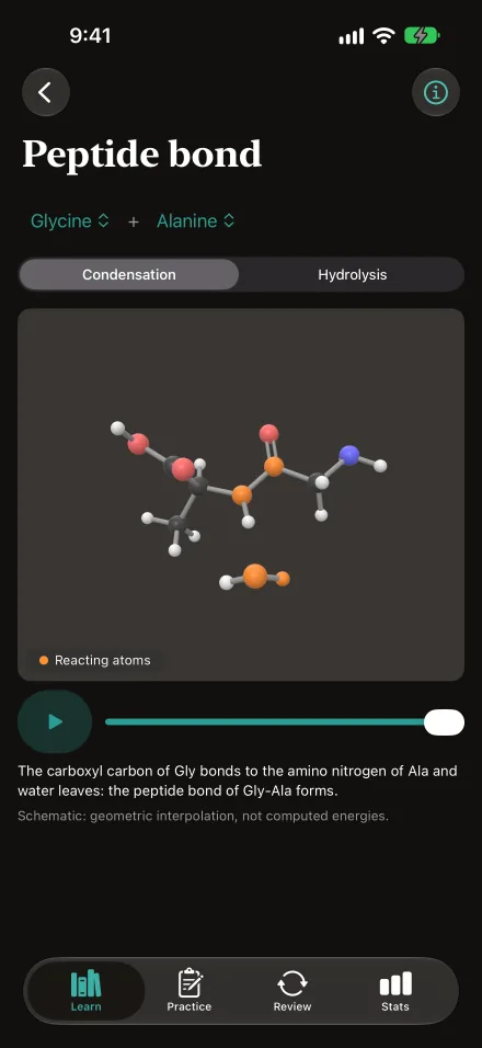 The peptide bond screen on iPhone.