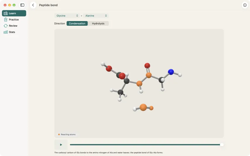 The peptide bond screen on Mac.