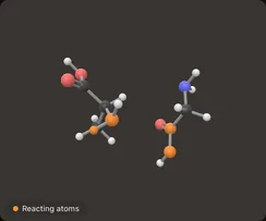 Glycine and alanine before the bond forms.