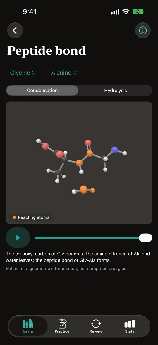 Alpha Carbon on iPhone: glycine and alanine in 3D. A water molecule leaves and a peptide bond joins them.